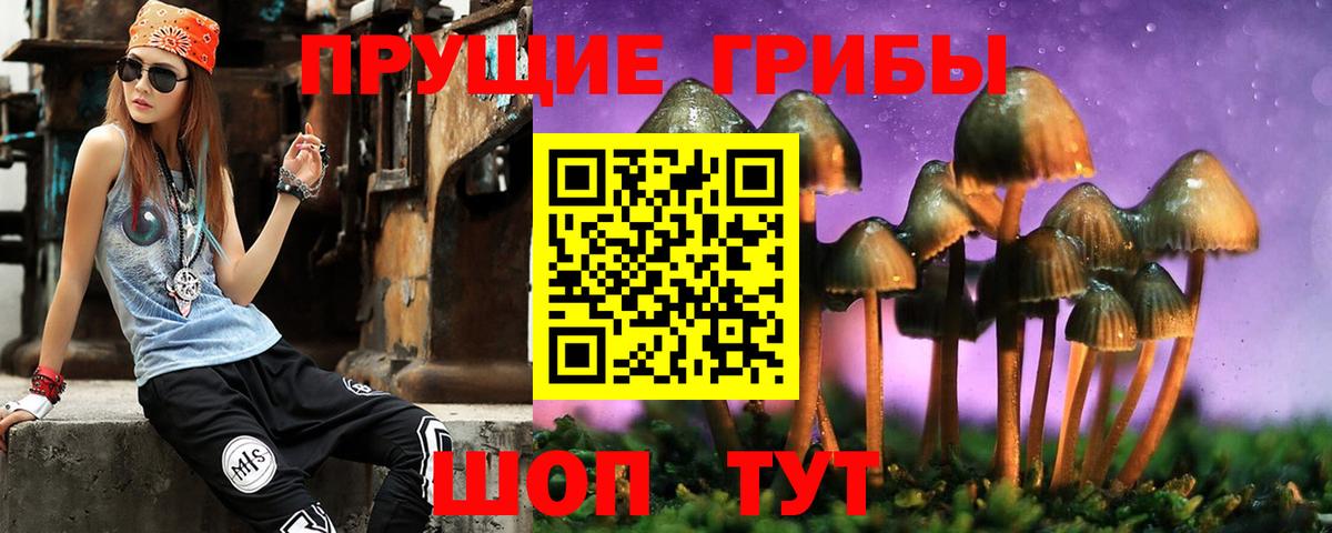 Псилоцибиновые грибы ЛСД  Галлюциногенные грибы ЛСД  Нижневартовск  Вход с VPN 